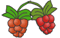 two berries