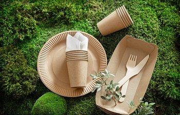 biodegradable