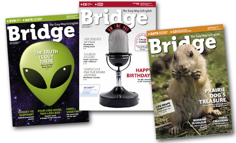 Časopis Bridge
