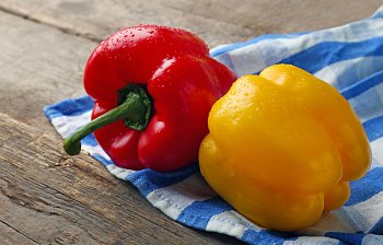 capsicum
