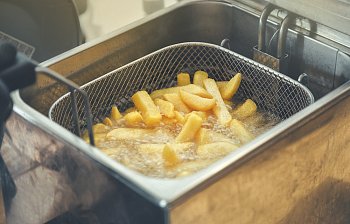 deep fryer