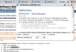 Dictionary Tooltip