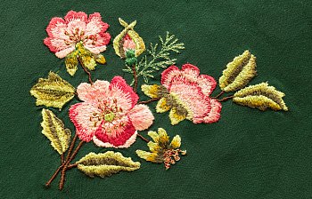 embroidery