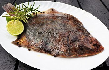 flatfish