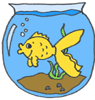 a goldfish