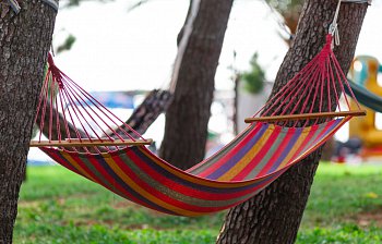 hammock