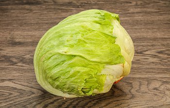 iceberg lettuce