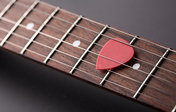 plectrum