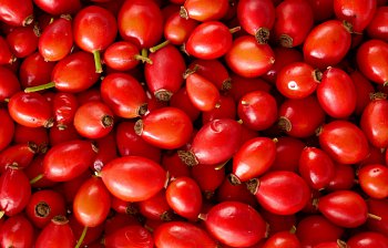 rose hip