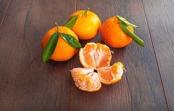 satsuma