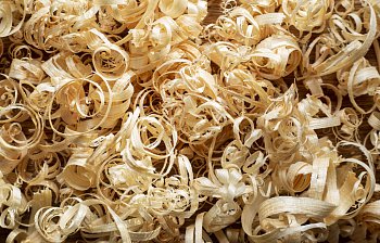 shavings