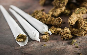 pot