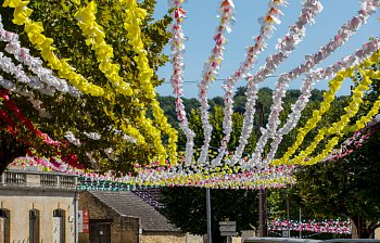 festooned
