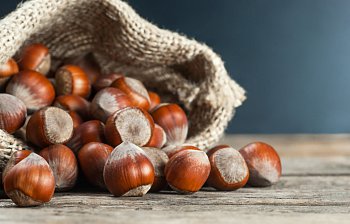 hazelnut