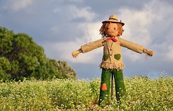 scarecrow