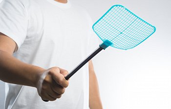fly swatter