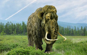 mammoth