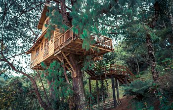 treehouse