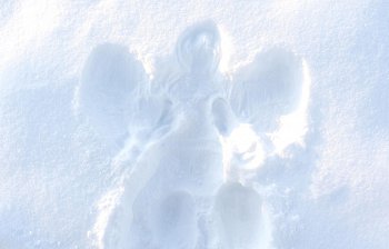 snow angel