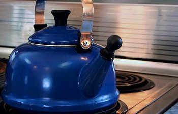 teakettle